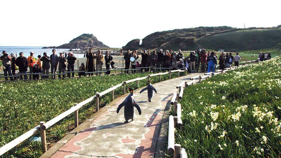 王様がゆく！下田水仙祭りオープニングでパレード
