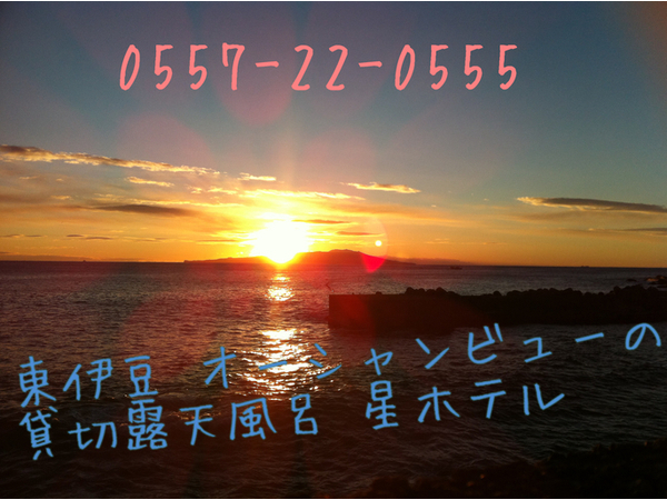 ●【伊豆の温泉と絶景のオーシャンビュー、新鮮な海の幸を思いっきり楽しみたい方へ♪】