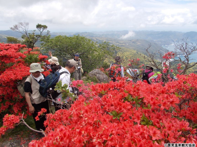 高通山つつじ祭り