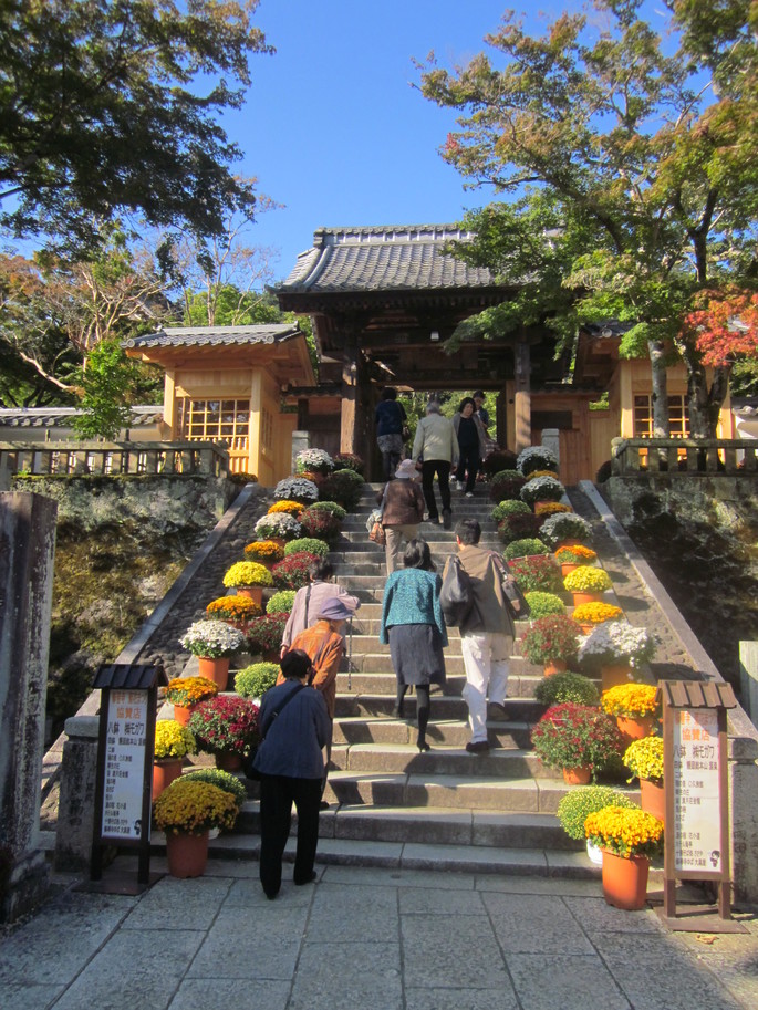 修善寺　菊飾り