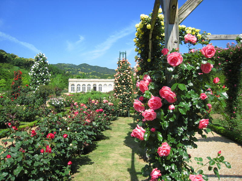 河津バガテル公園