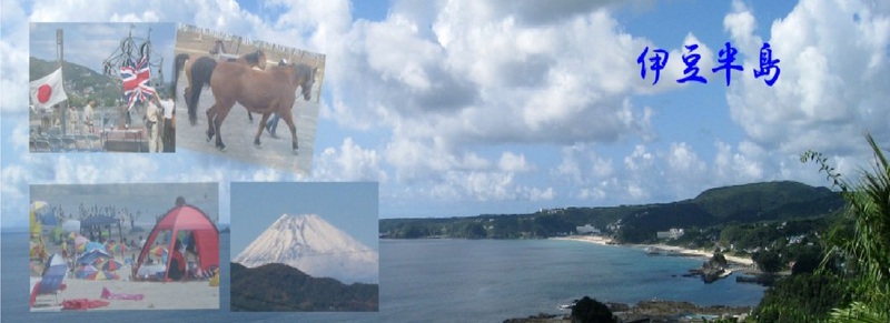 特定非営利法人 伊豆半島地域活性化支…