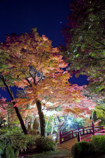 熱海梅園
