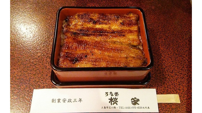うなぎ 桜家 観光と暮らしの伊豆フル