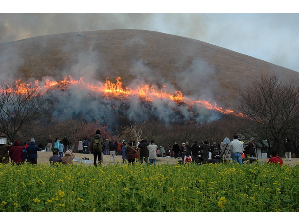 大室山山焼き