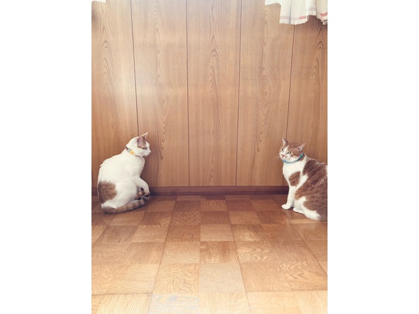 =^_^=春男とお出掛け=^_^=