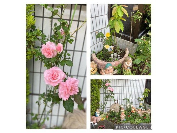 ✿プチ花壇✿