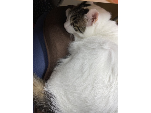 =^_^=　BIVI　13歳　=^_^=
