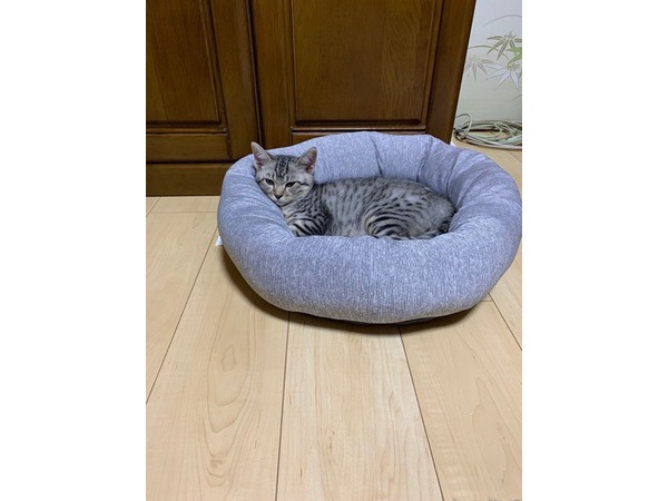 =^_^=タロー君登場=^_^=