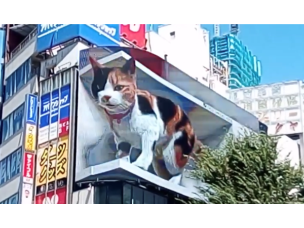 =^_^=巨大猫=^_^=