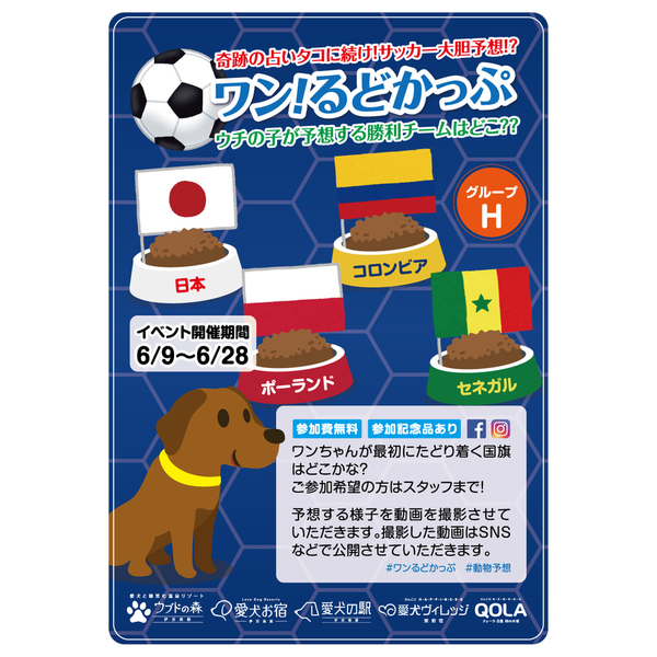 大胆予想！「ワン！るどかっぷ」開催！6月9日（土）～28日（木）