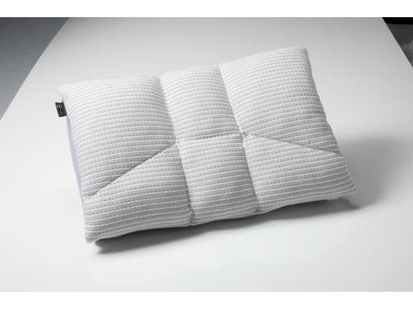 プレゼント企画