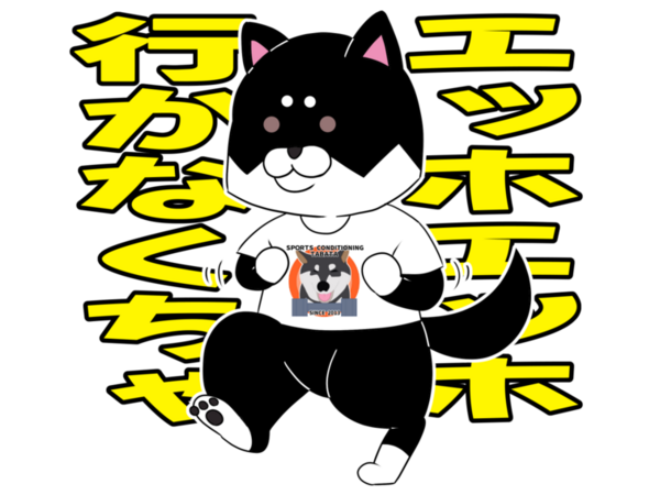 整体コースのご案内です。