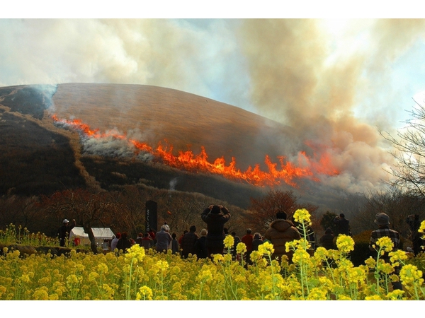 大室山　山焼きの