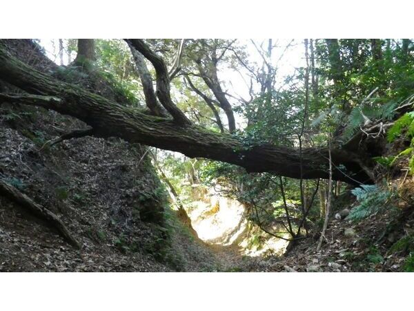 東浦路とナコウ山
