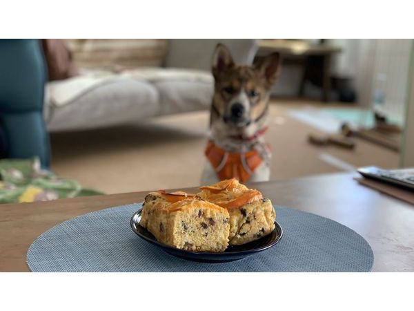 大室山山焼き延期