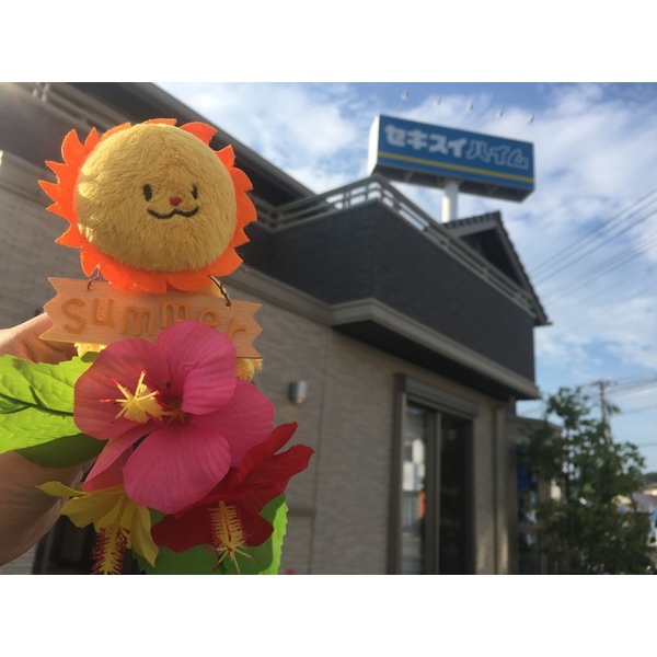 広報担当の林です！