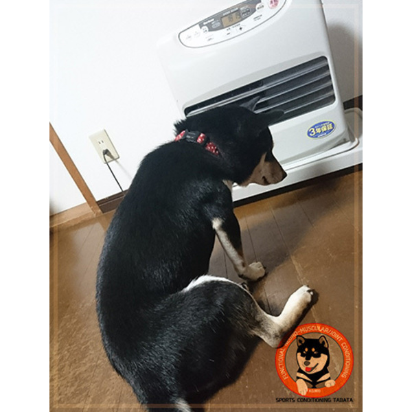 食事減らしたのに痩せな～い？