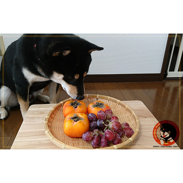 『食欲の秋』太らないコツ？