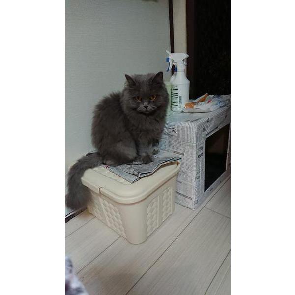 人相が悪い