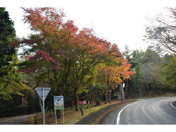 紅葉始まる。