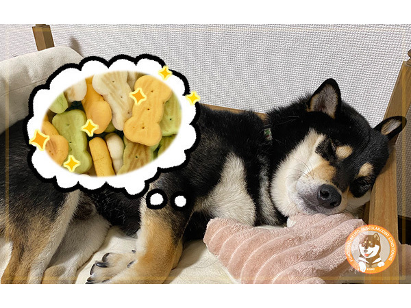 過度な食事制限はNG！