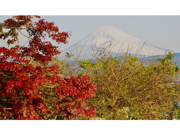 小室山からの富士山