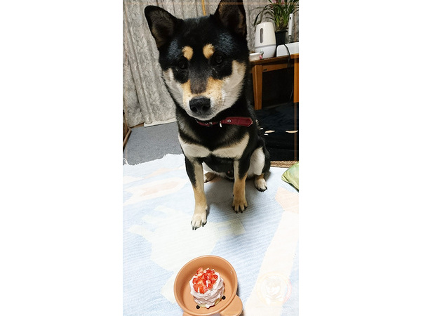 ダイエット準備OK？