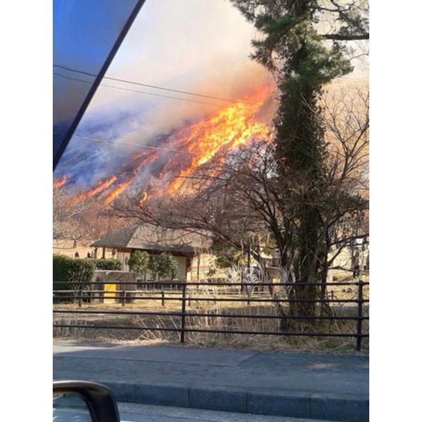 春をよぶ！　　大室山の山焼き　　２月１４日（日）