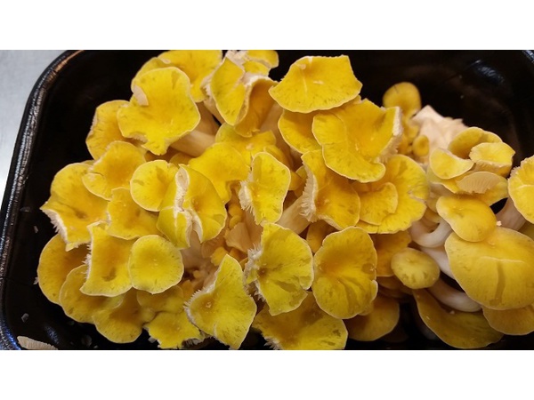 旨すぎる！伊豆食材入荷～(^^)/ 