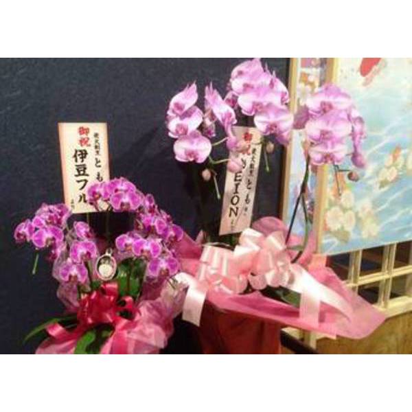 本日、７月９日ご開店おめでとうございます！