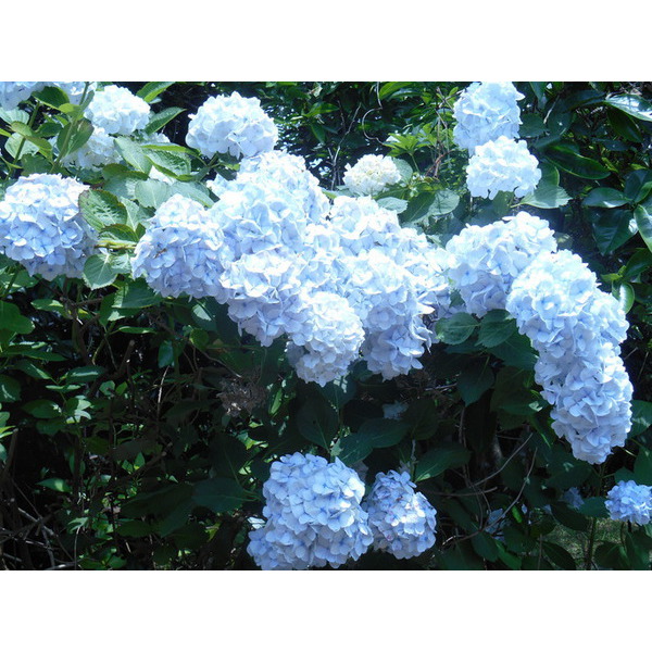６月２１日、２２日は、貸切のためお休みいたします。