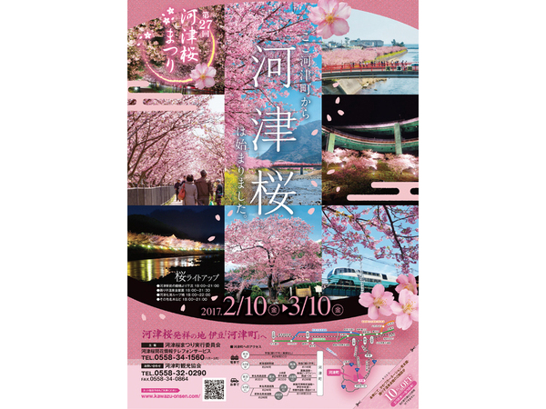 明日から河津桜まつり