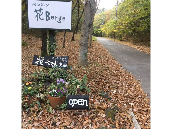 落ち葉の遊歩道