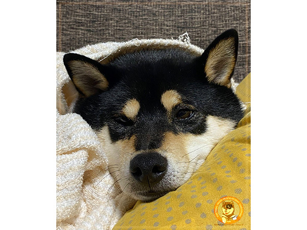 やっぱり食事です･･･