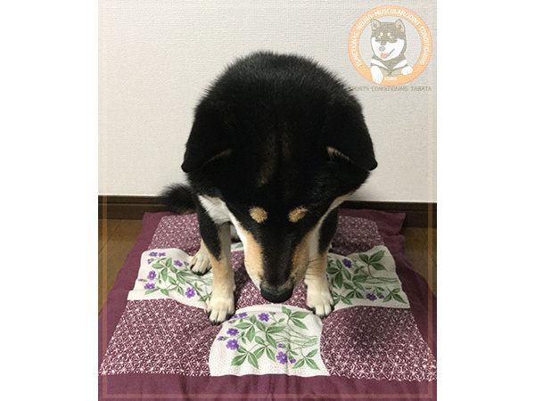 感染症予防のためお休みします･･