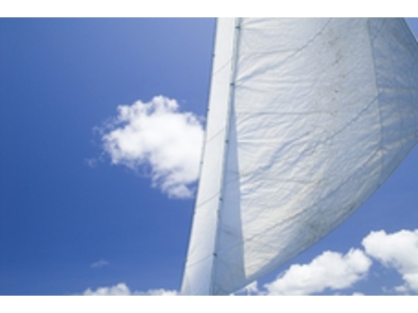 トランスサガミヨットレース