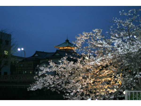 伊東松川灯りの小径 　～桜と灯りの出逢うとき～