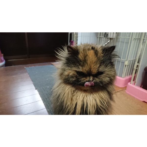 相変わらず