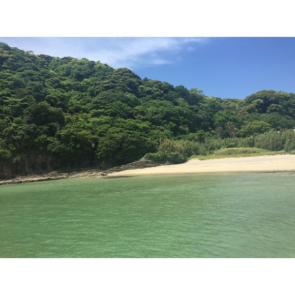 伊豆フルvol.36配布しながら