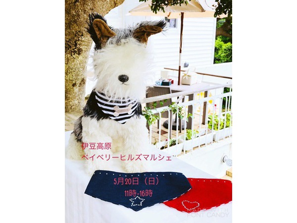 5月20日ベイベリーヒルズマルシェ