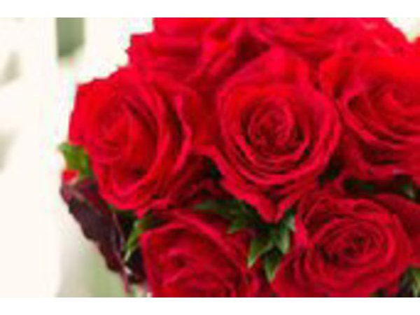 伊東マリンタウン「日帰り天然温泉シーサイドスパ」