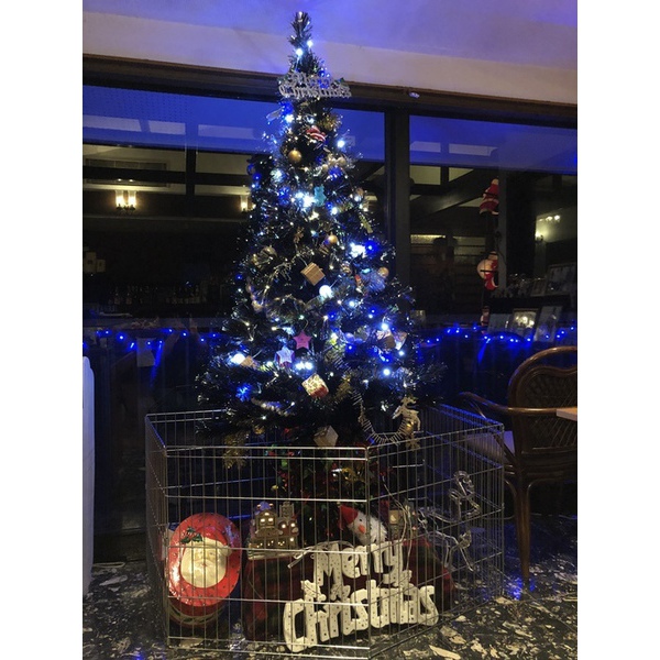 Xmasツリーを飾りました