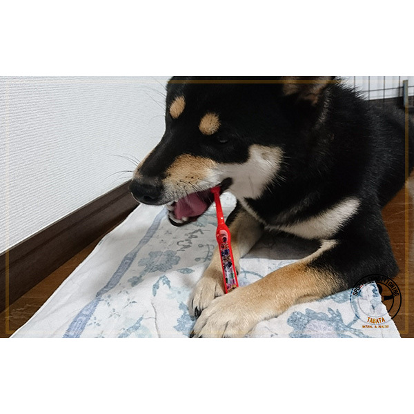 ながらトレーニングって？(中・高年の筋力向上物語)
