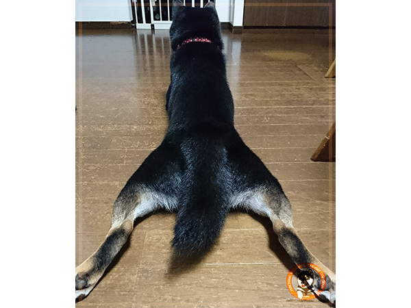 運動を続けたい人は･･･