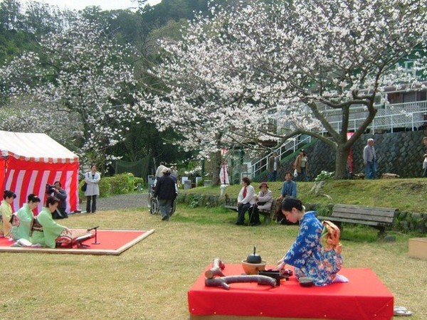 第35回 黄金崎さくらまつり