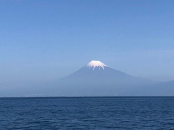 駿河湾フェリーで静岡へ行ってきました！