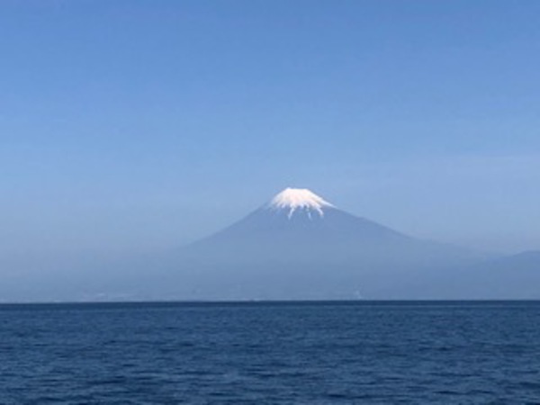 駿河湾フェリーで静岡へ行ってきました！