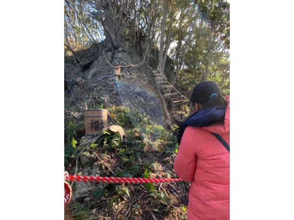 いのちの森＊ヨロキの守り神竹の浅間山神社