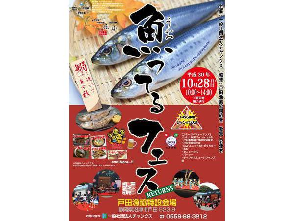 １０/２８（日）魚ってるフェス